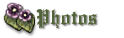 photos button